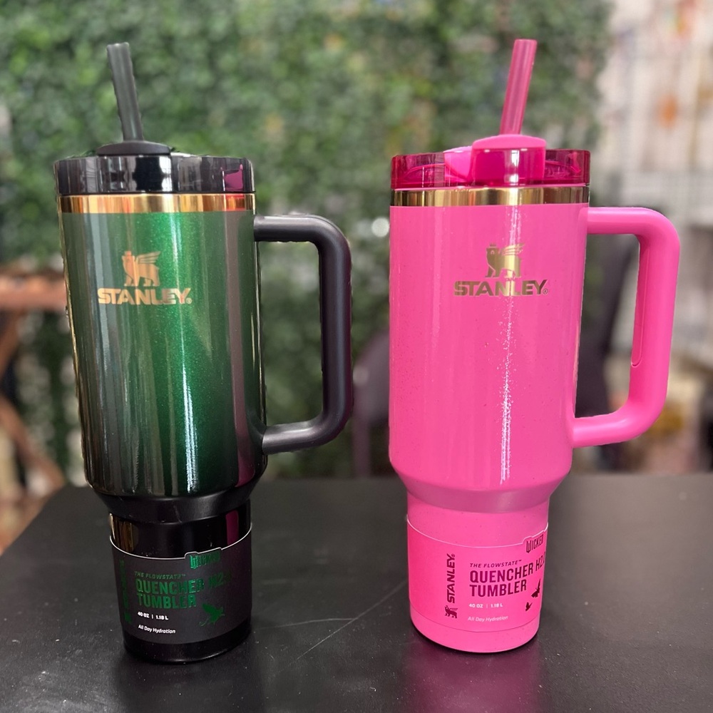 40-ounce Wicked Quencher H2.0 FlowState Tumbler Elphaba and Glinda set